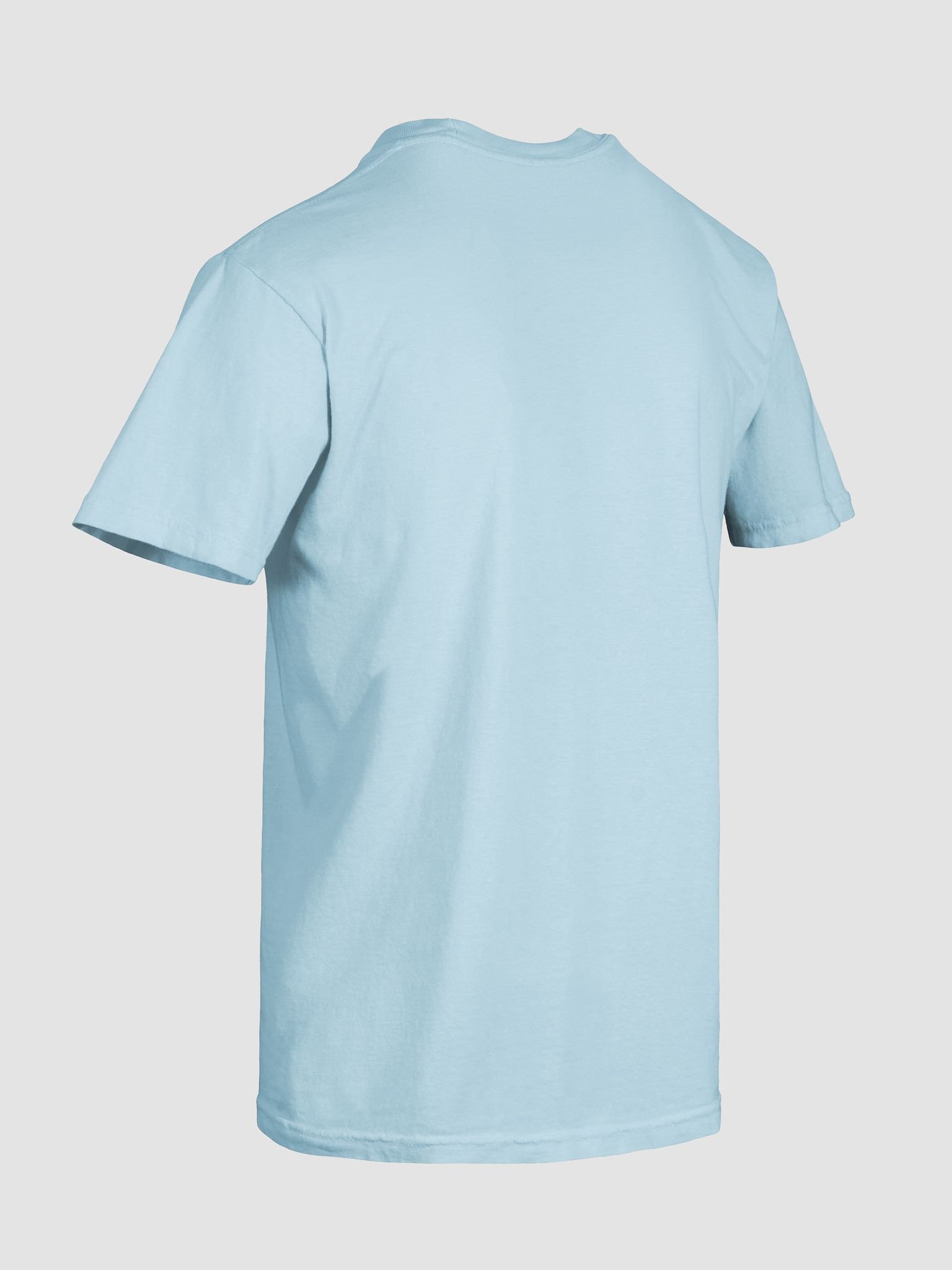 Athletic Dept. Heavyweight Tee product image (37)