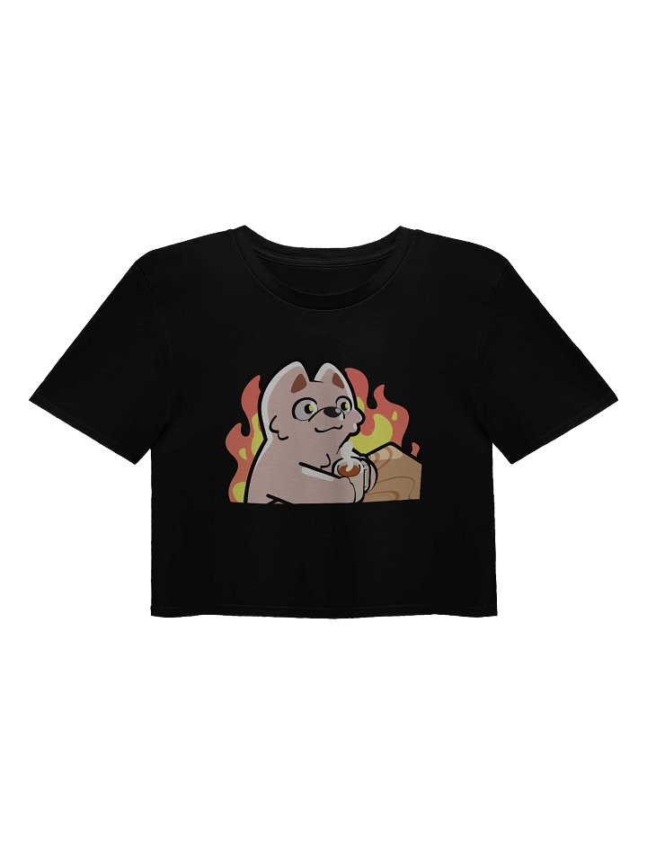 This is Fine Crop Top product image (7)