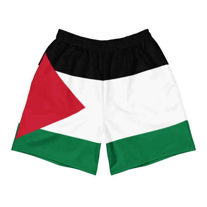 Palestine Flag Unisex Shorts product image (1)