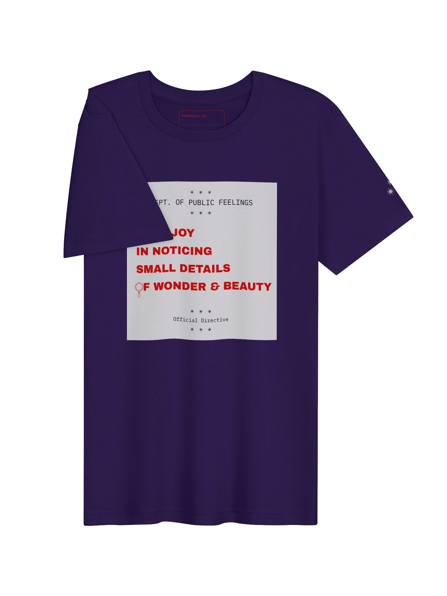 Take Joy in Noticing Small Details of Beauty and Wonder Tee product image (15)