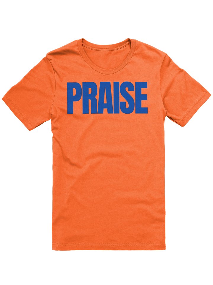 PRAISE BLUE RETRO EDITION TEE (UNISEX) product image (13)