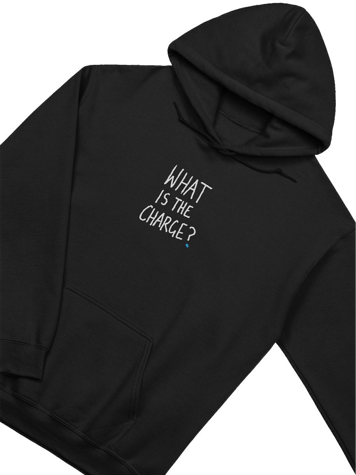 Official Garn 'What Is The Charge' Hoodie product image (1)
