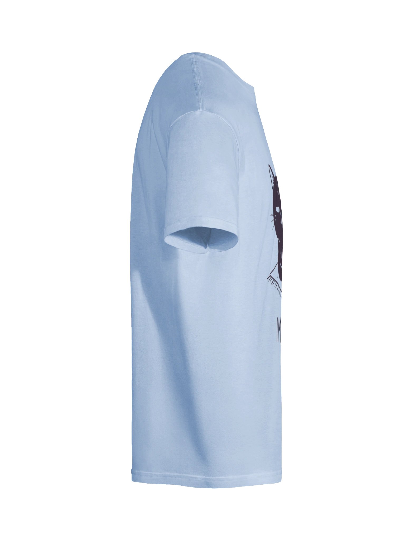 Impress Me Human Tee product image (11)
