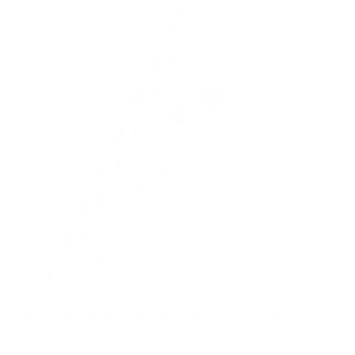 Arsyn