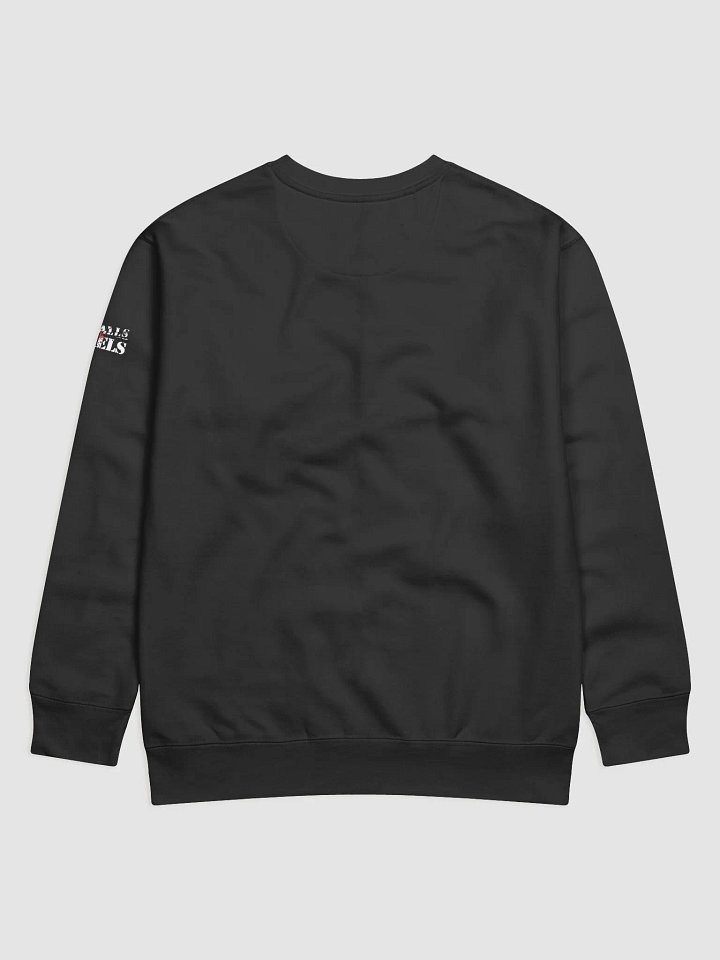 Cammy x Sable Cosplay Black Sweatshirt product image (2)