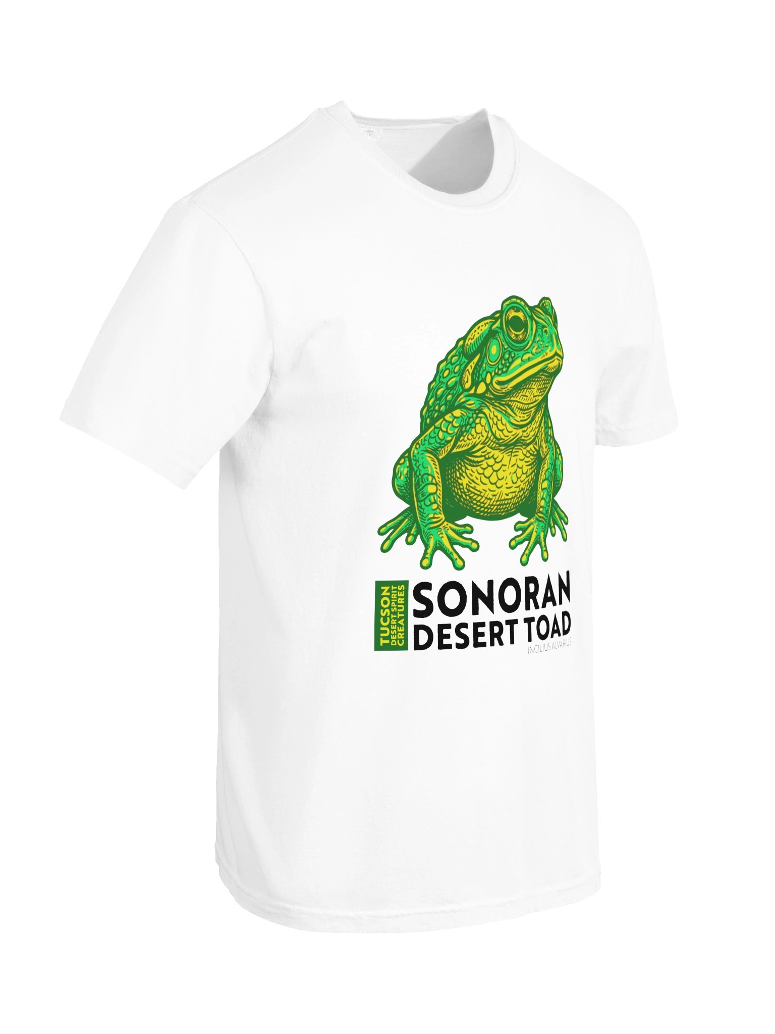 SONORAN DESERT TOAD product image (66)