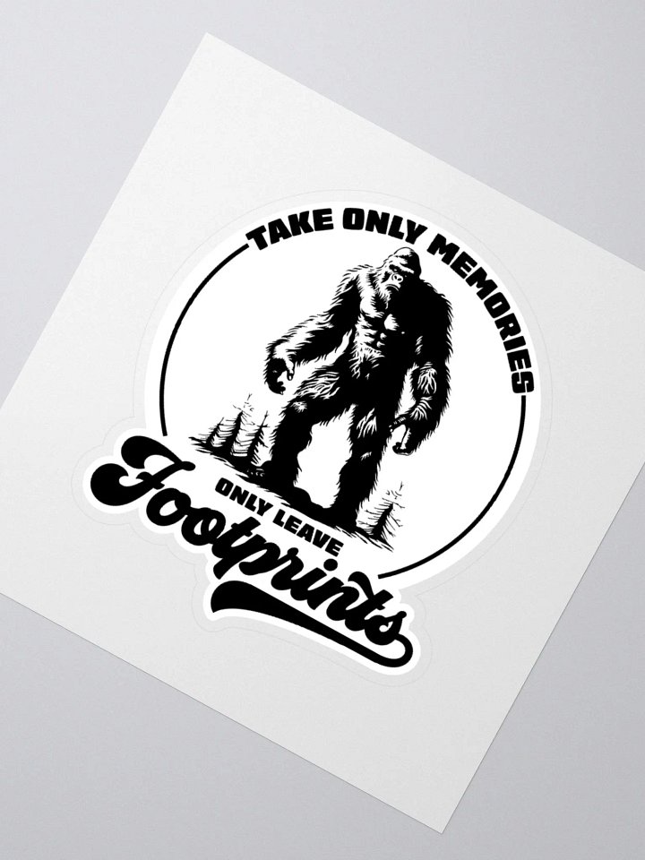 Take Memories Leave Footprints Funny Hiking Sticker product image (6)