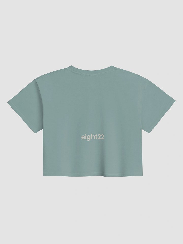 Talent & Character eight22 Beige Sans-Serif Crop Top product image (12)