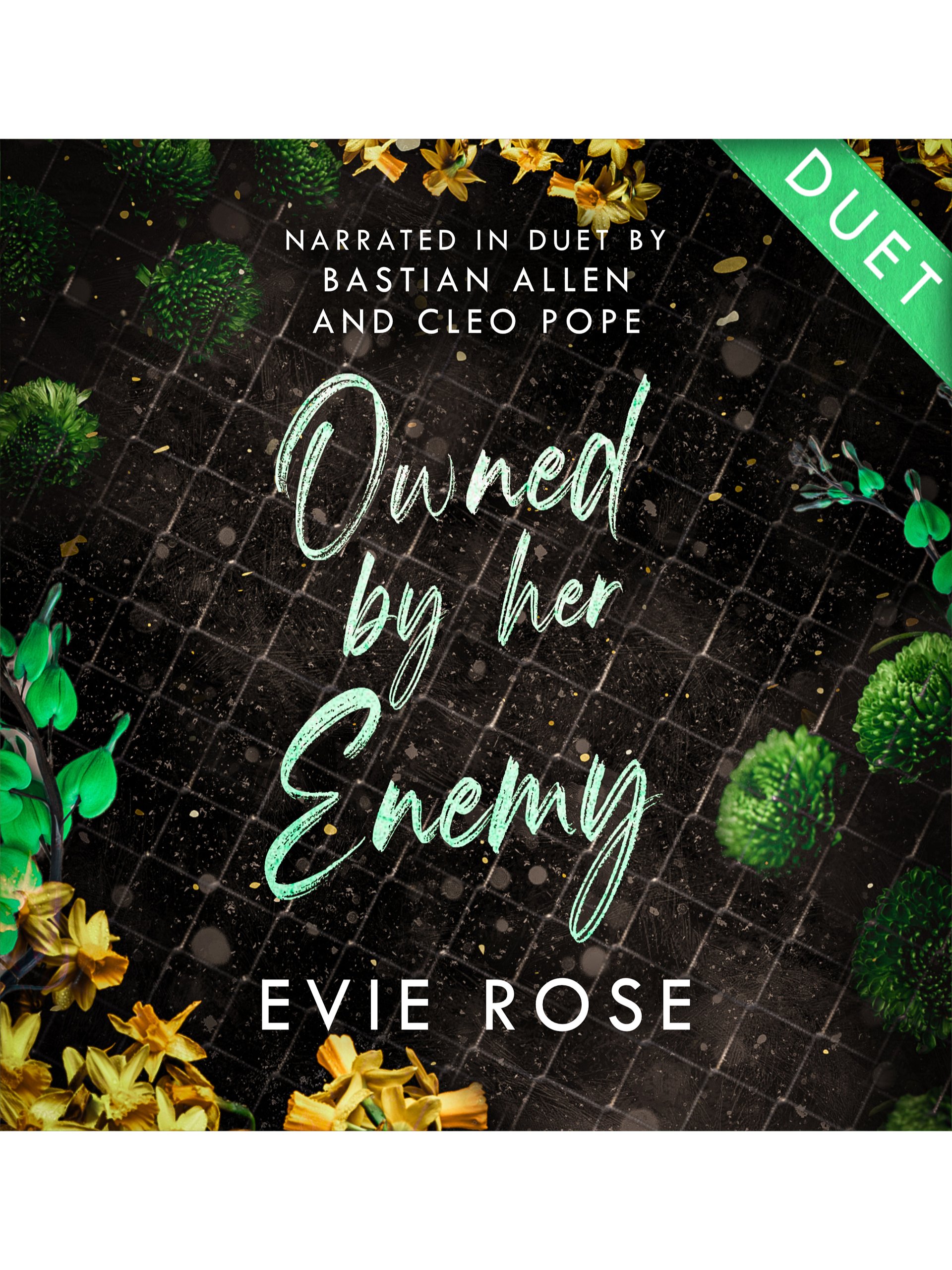 Owned by her Enemy - Duet Audiobook product image (1)