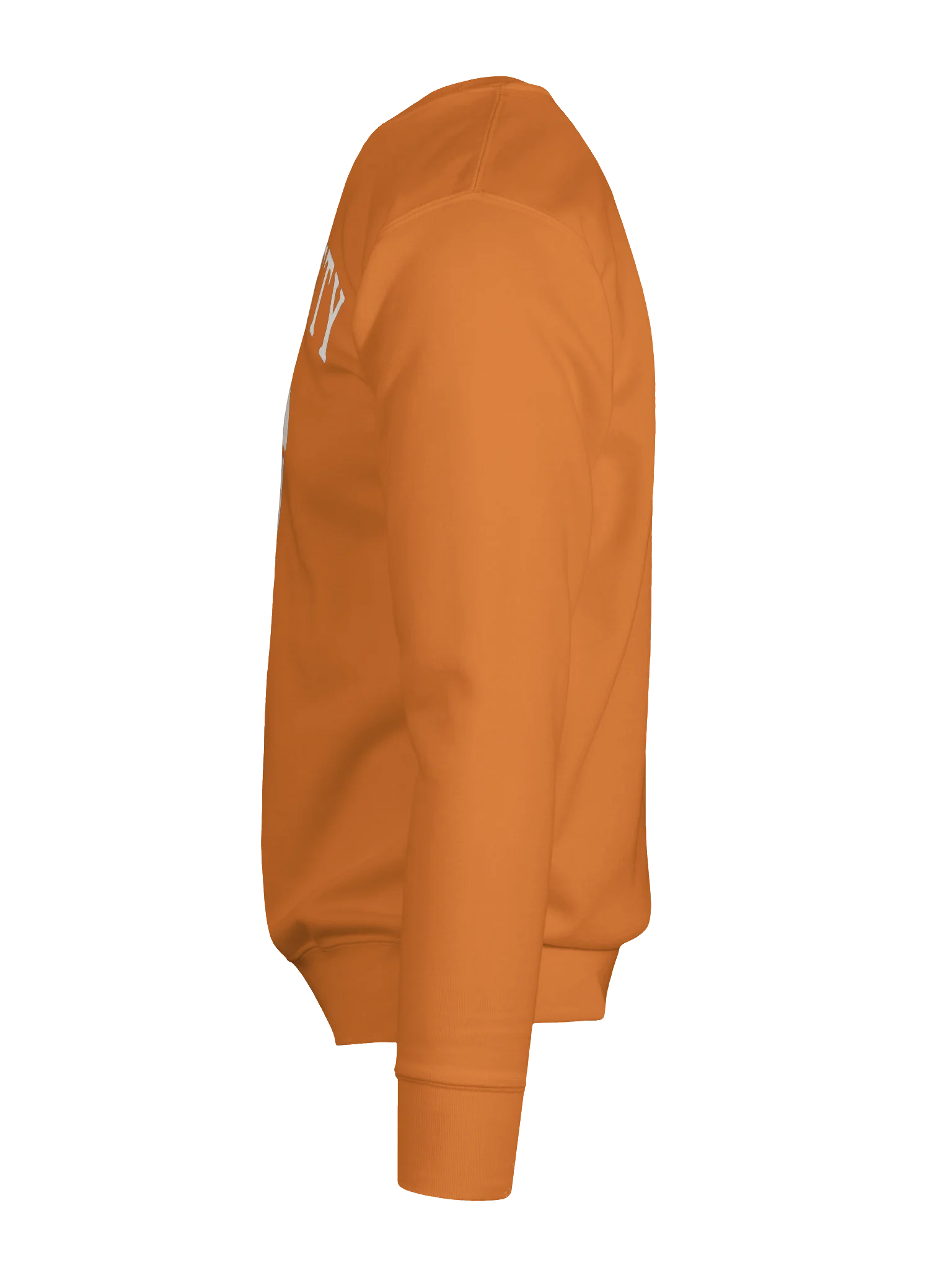 Chatty Acorn Premium Sweatshirt | Cozy Chatty Fall Collection product image (9)