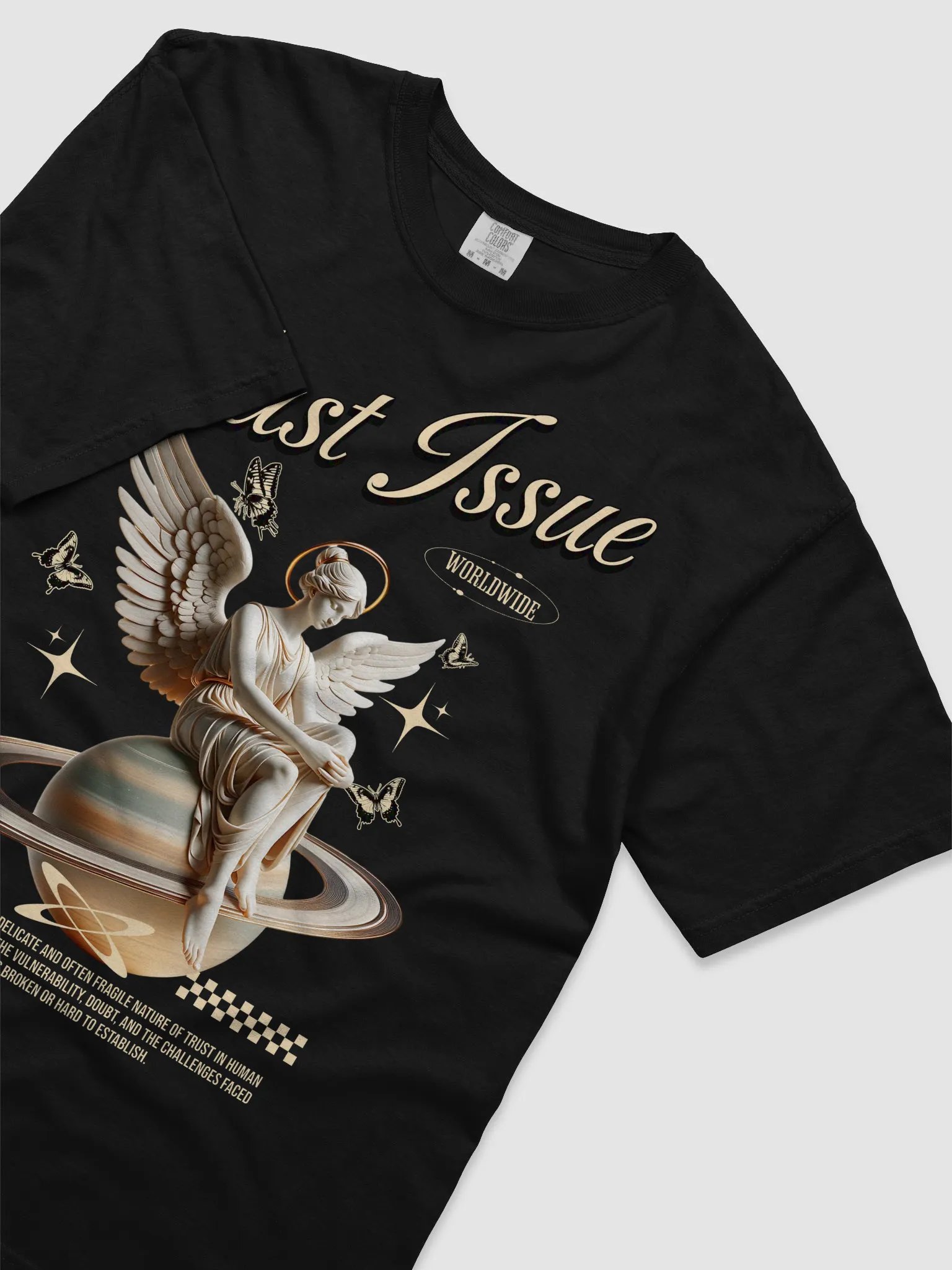 Trust Issue Heavyweight Tee product image (24)