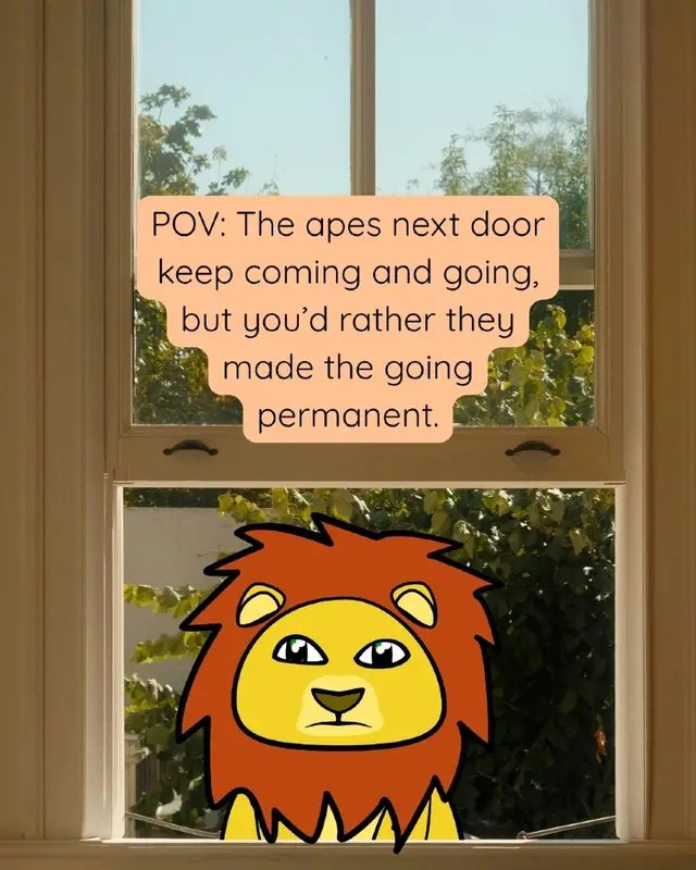A lion can dream. #Neighbours #LonelyLion #Wishing #Peace