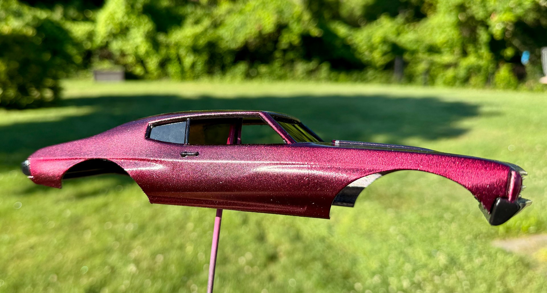 Chevelle Body product image (7)