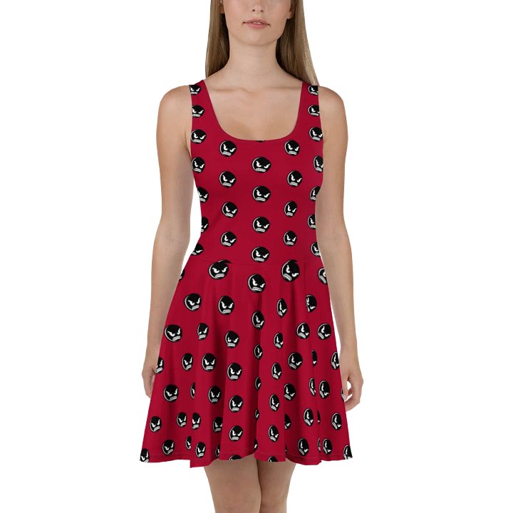 Mr. Try Hard Skater Dress product image (2)
