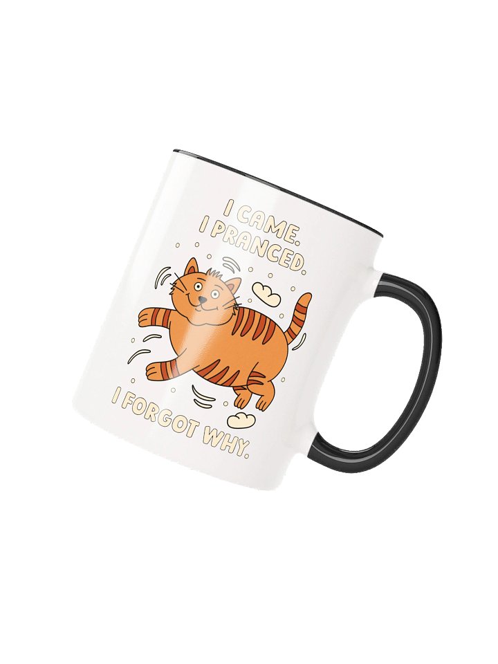 I Came. I Pranced. I Forgot Why. Cat Mug product image (1)