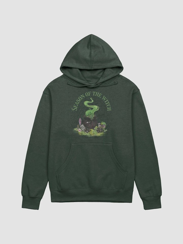Season of the Witch Adult Hoodie product image (1)