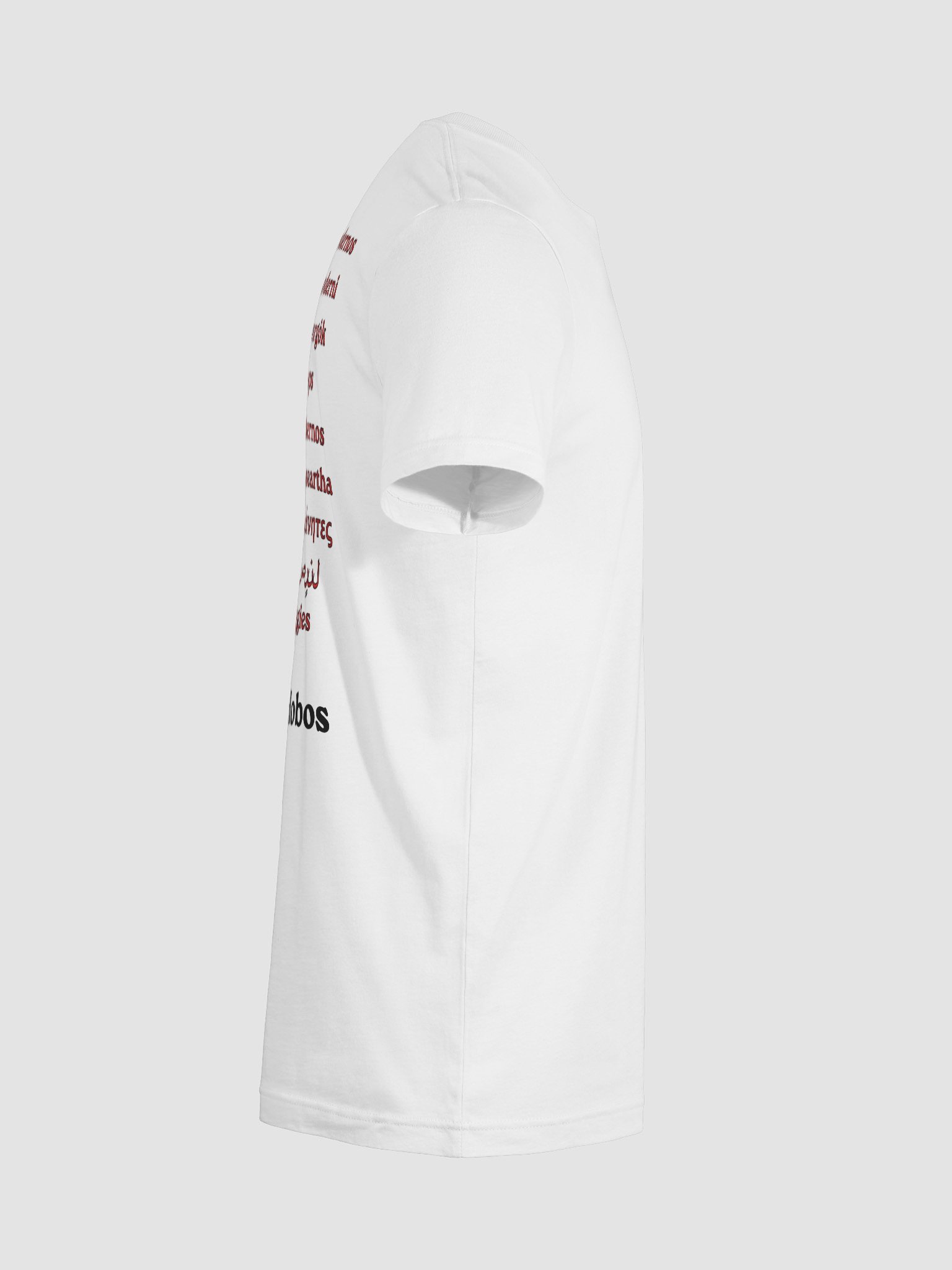 Modern Hobos Worldwide T-shirt product image (12)