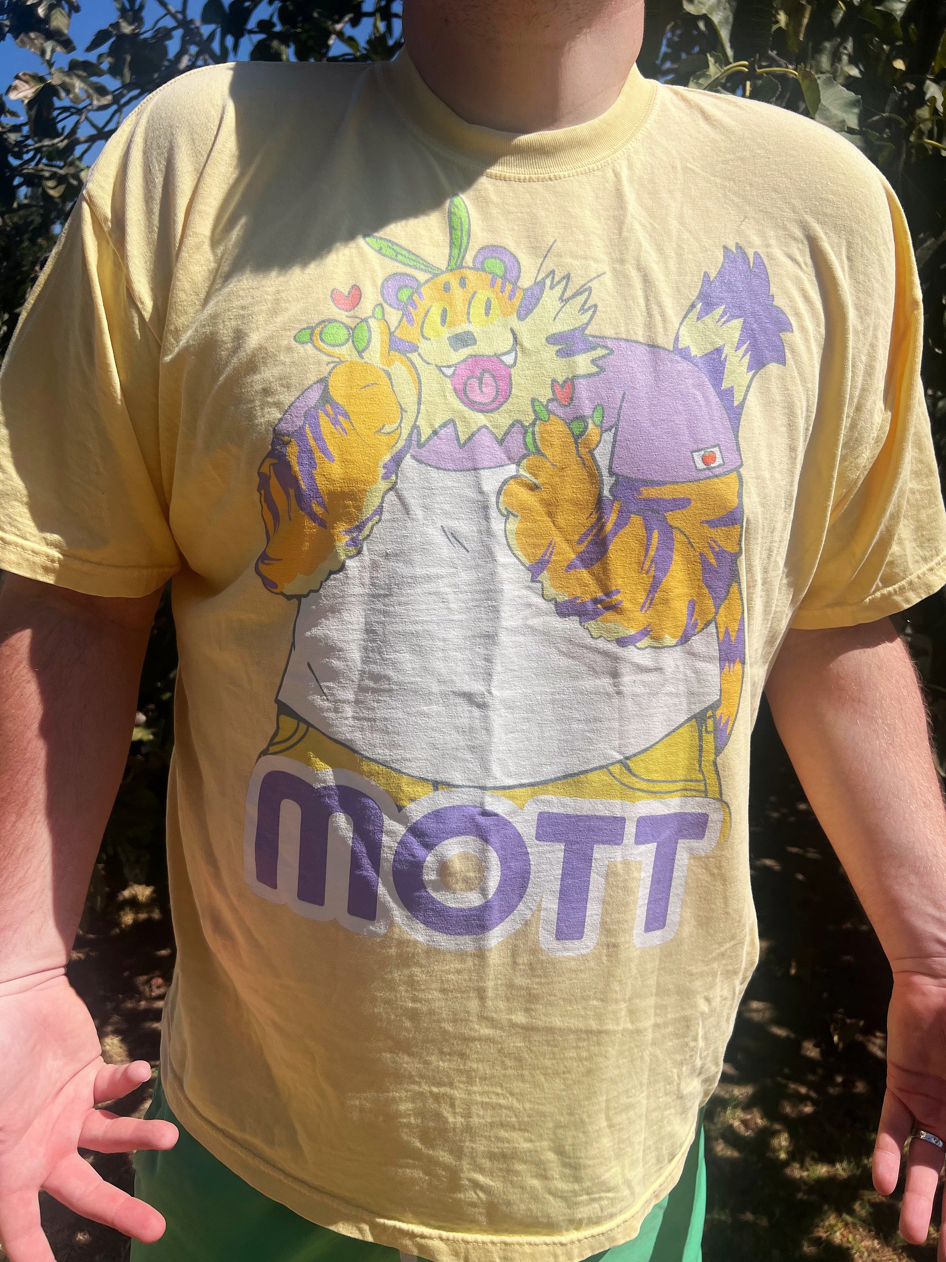 Mott Tee! (Color Blocked) product image (1)