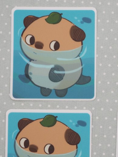 Obbr Stare product image (1)