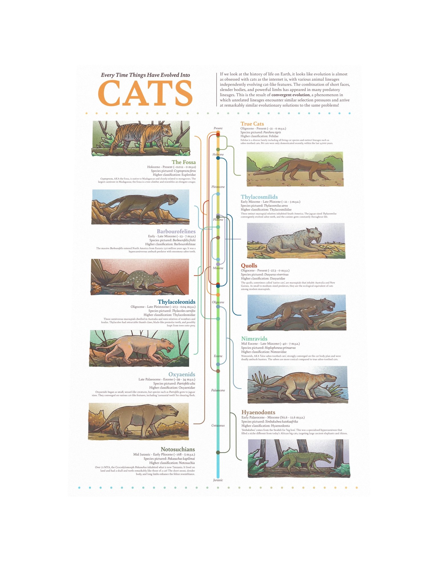 Cat Convergence Poster product image (1)