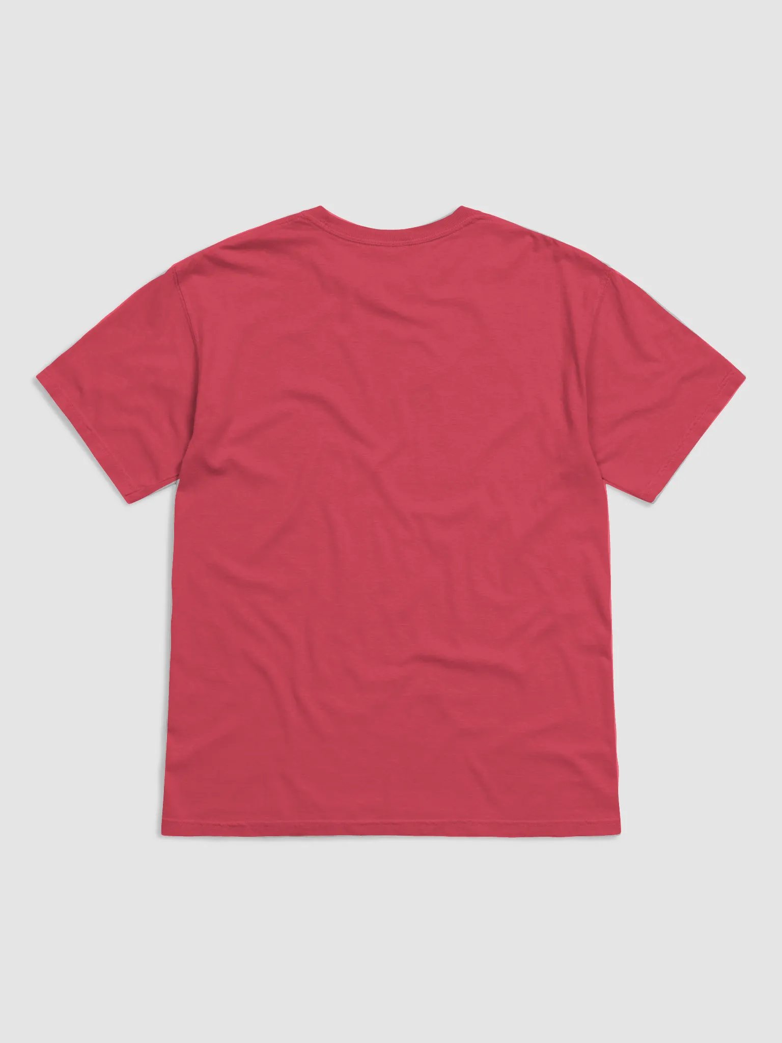 'Perdon?' by Edward Martin : Vibrant Parrot Paradise T-Shirt product image (3)