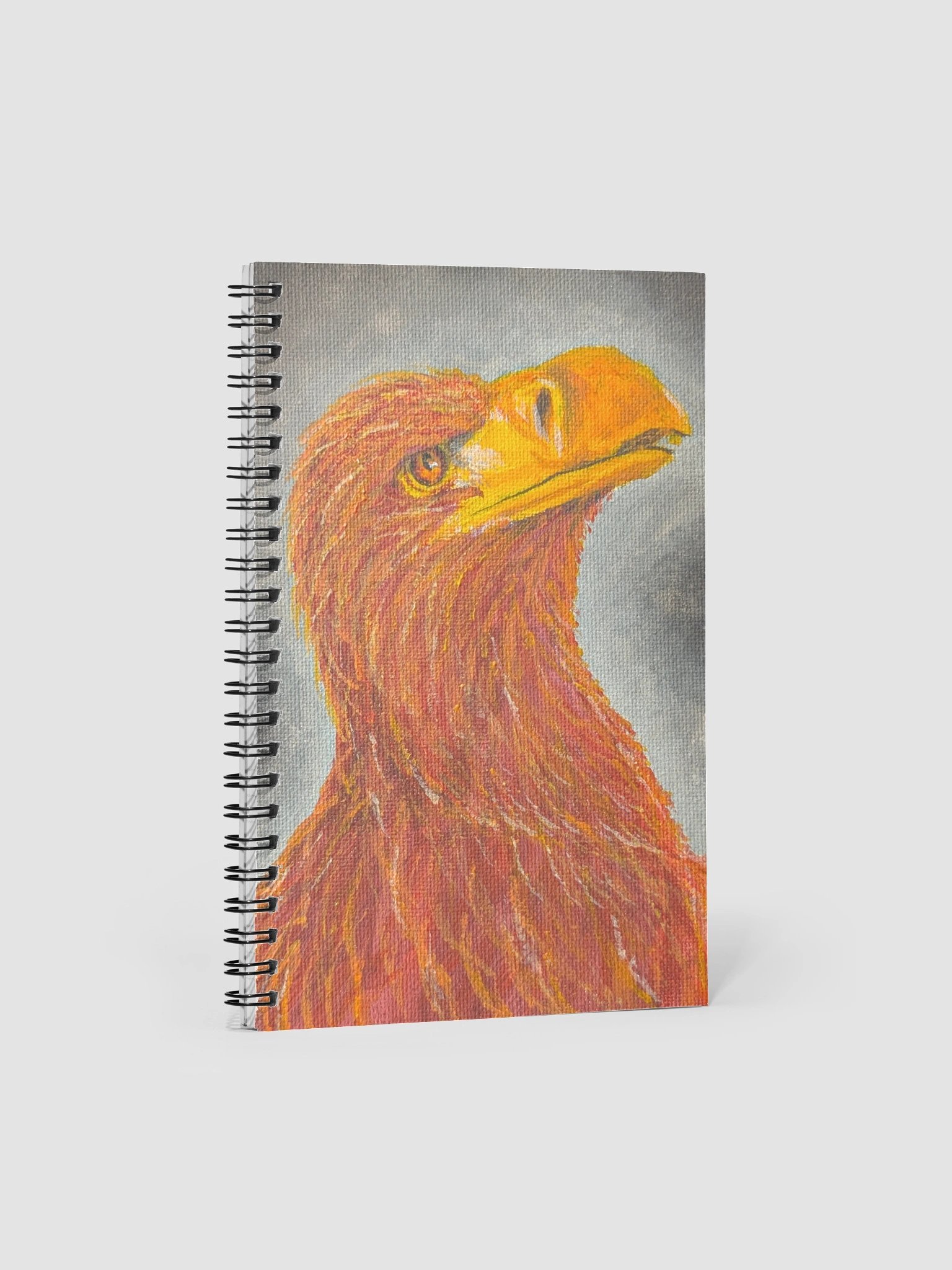 Phoenix notebook product image (1)