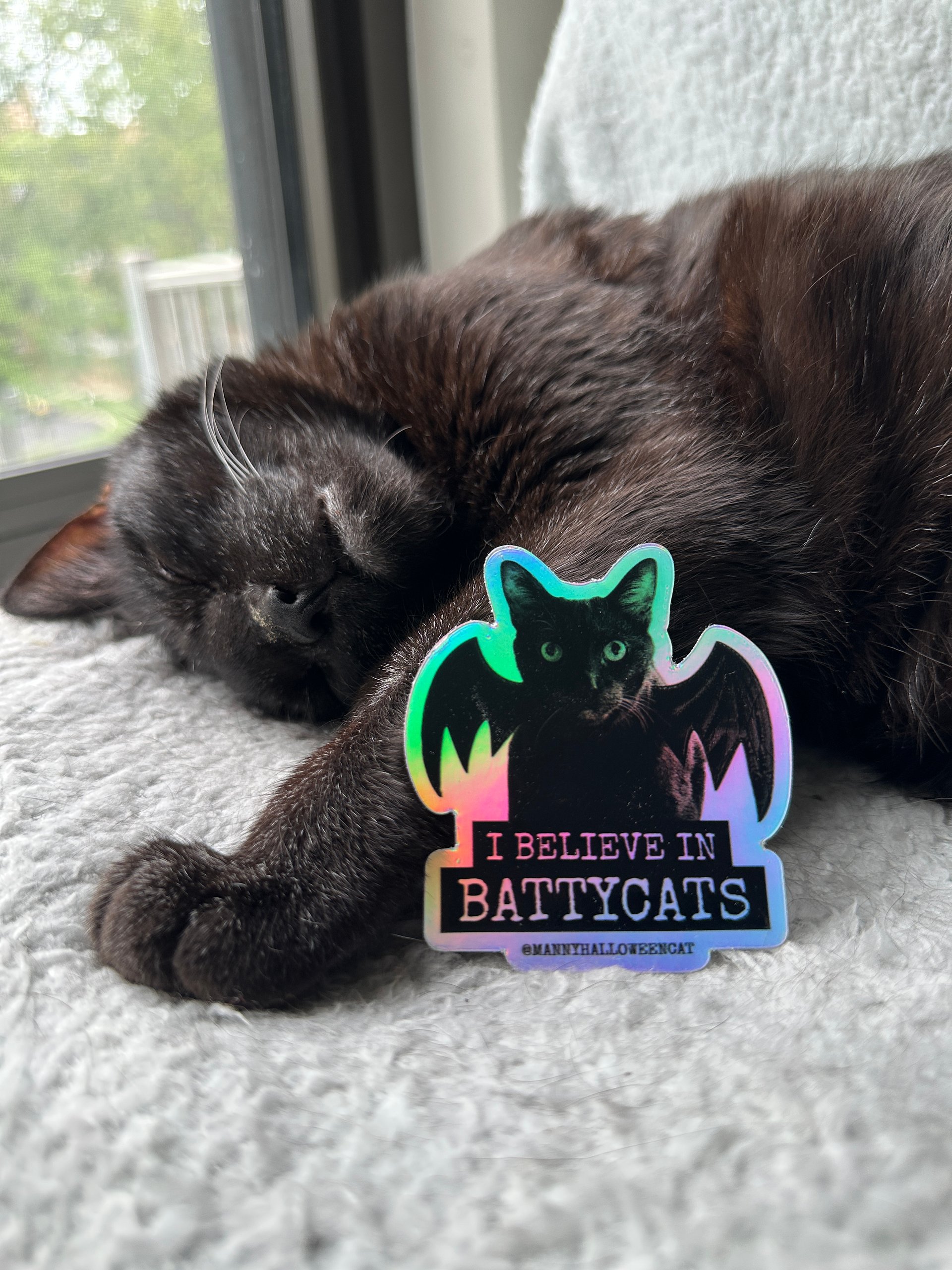 I Believe in Battycats holographic sticker product image (2)