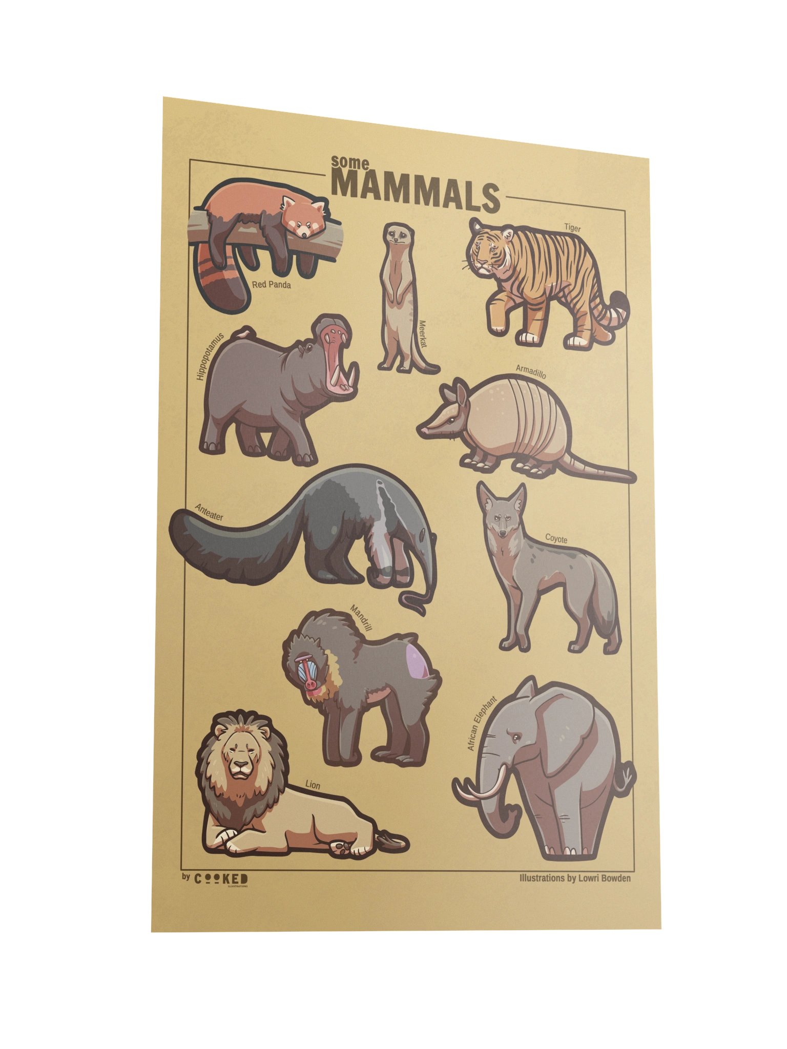 Another Abundance of Mammals Poster - 10 Illustrated Mammals Poster - Original Illustrated Poster product image (3)