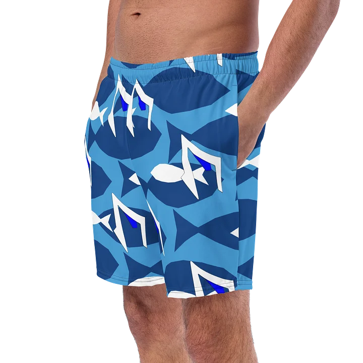 FAM3 PRODUCTIONS SWIMMING TRUNKS product image (2)