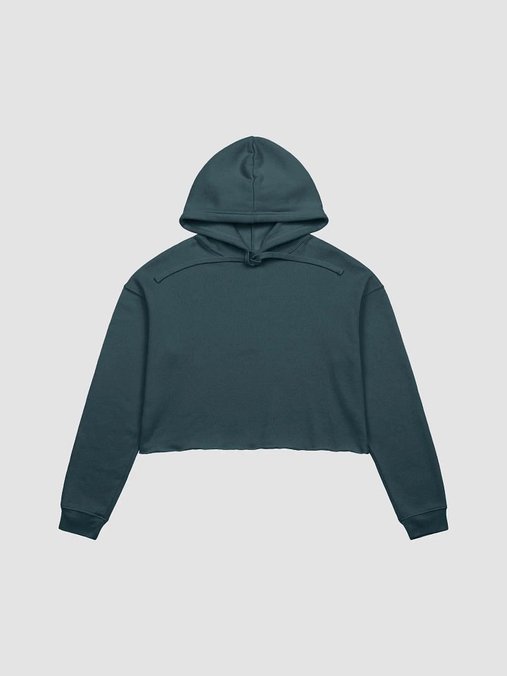 Mount Hills Swirl Crop Hoodie product image (2)