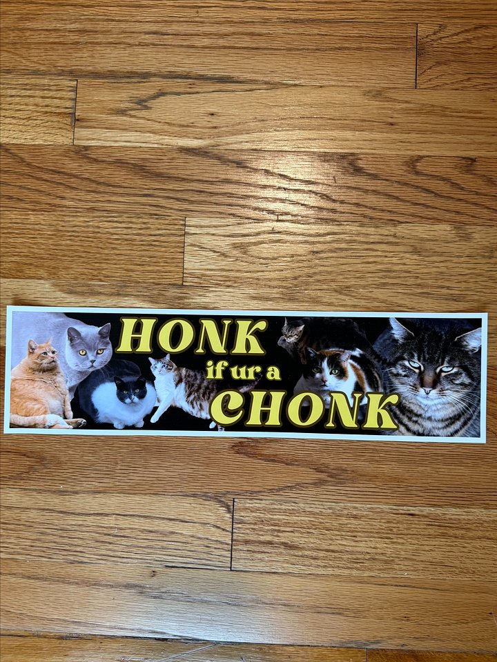 Honk if ur a chonk large bumper sticker product image (2)