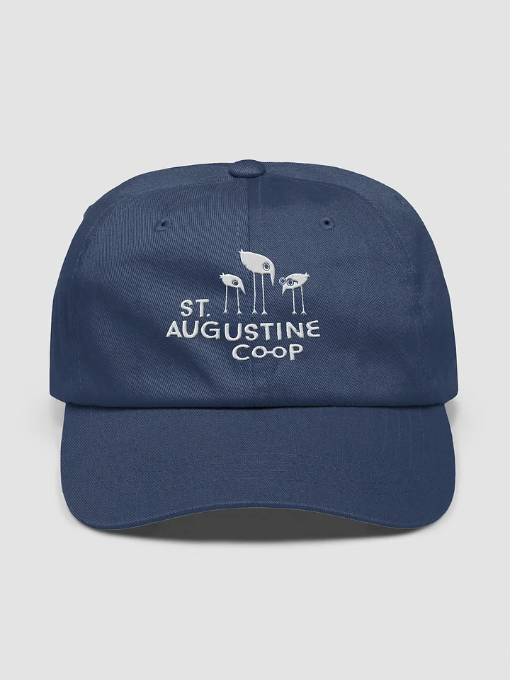 Co-op Hat product image (1)