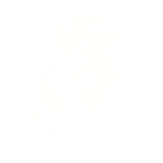 Exploring The Unknown