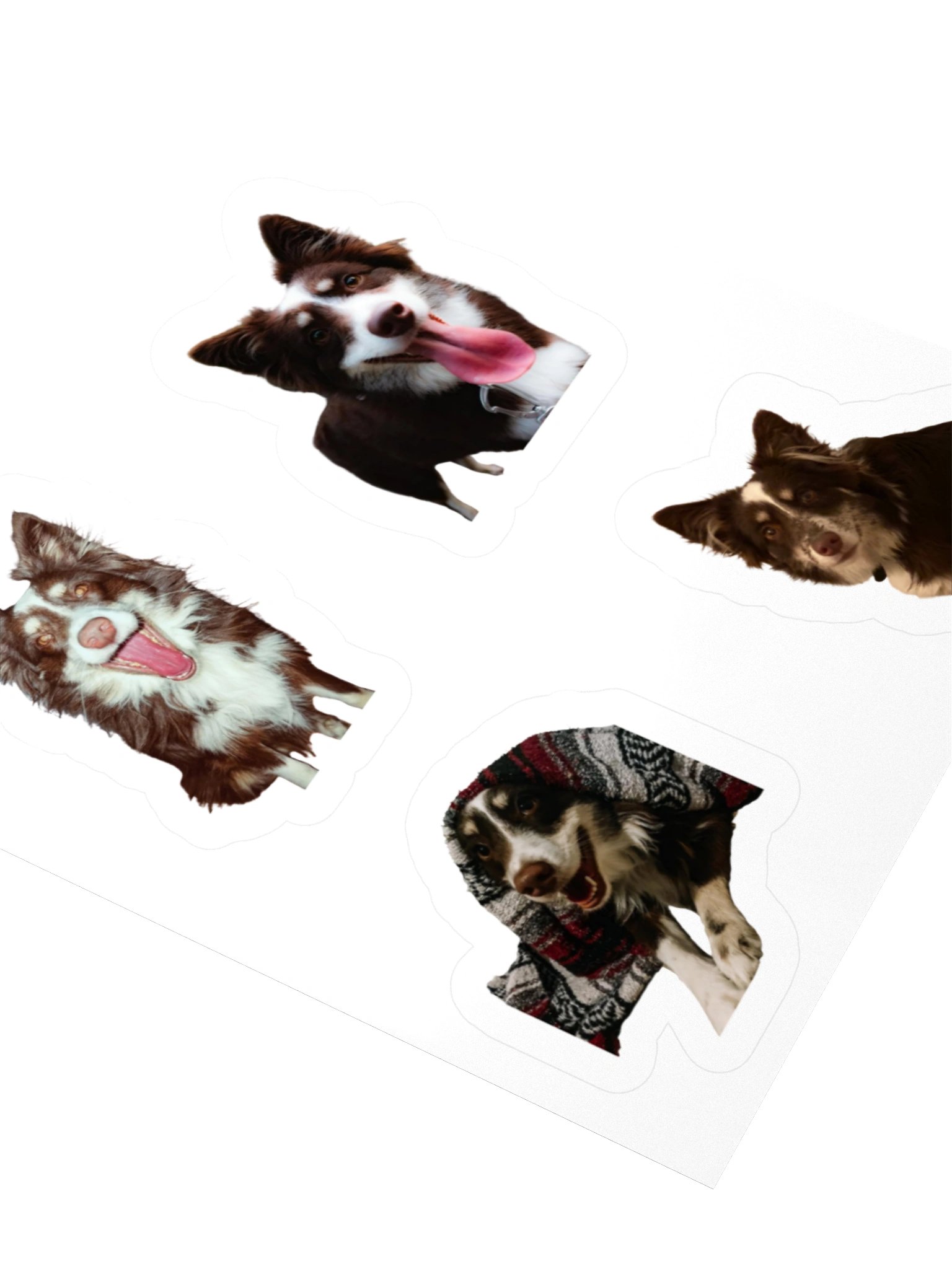 Aspen Stickers product image (7)