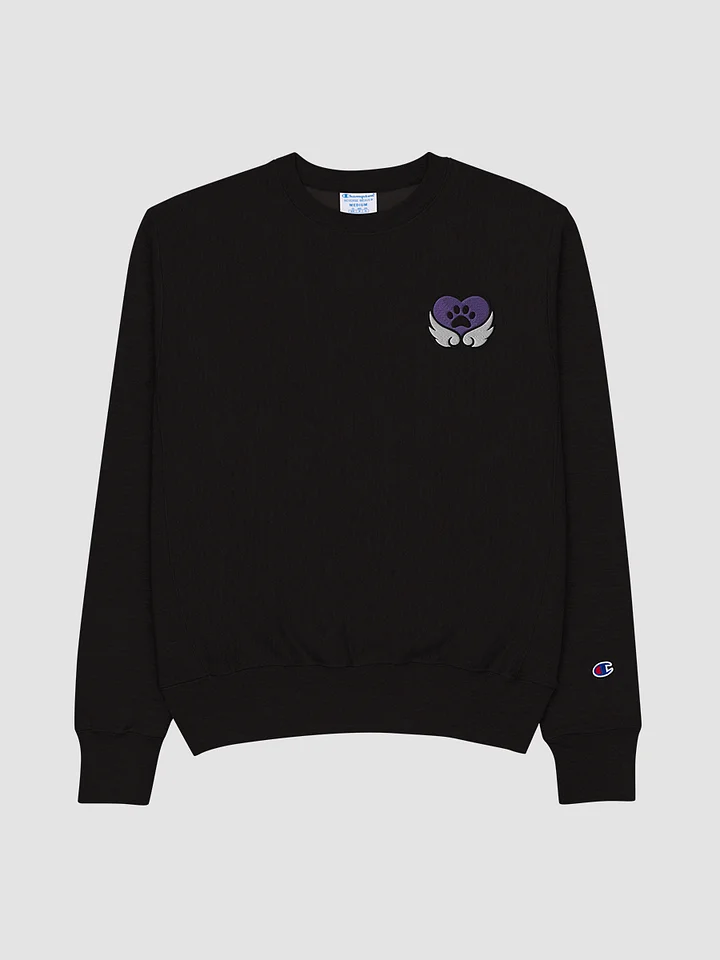 Premium Champion Brand Sweatshirt product image (1)