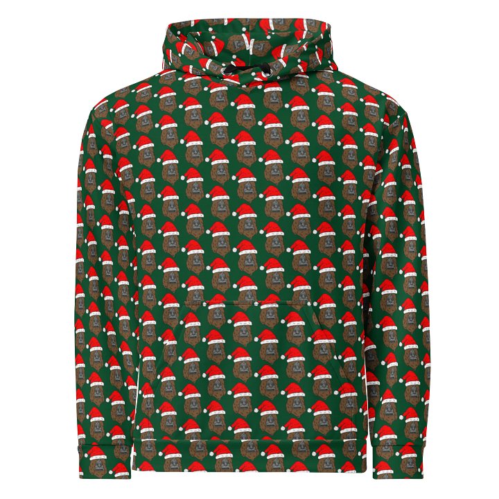 Sassy's Santa Sweat product image (1)
