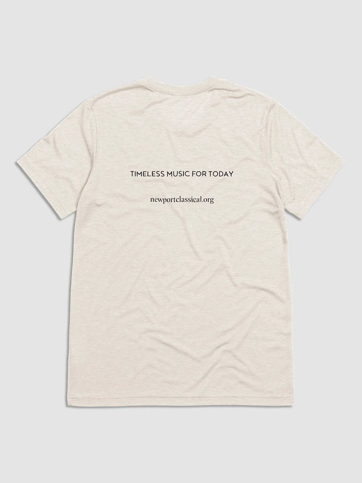 Festival T-Shirt product image (2)