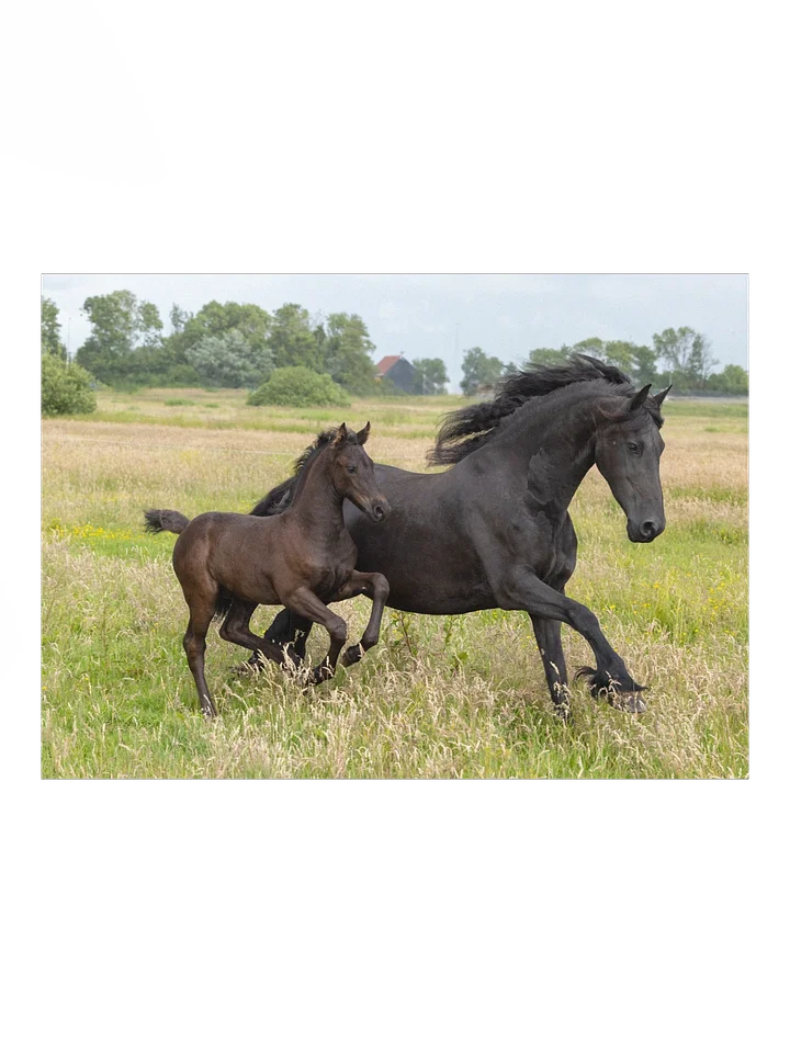 Saly & Elvis running product image (1)