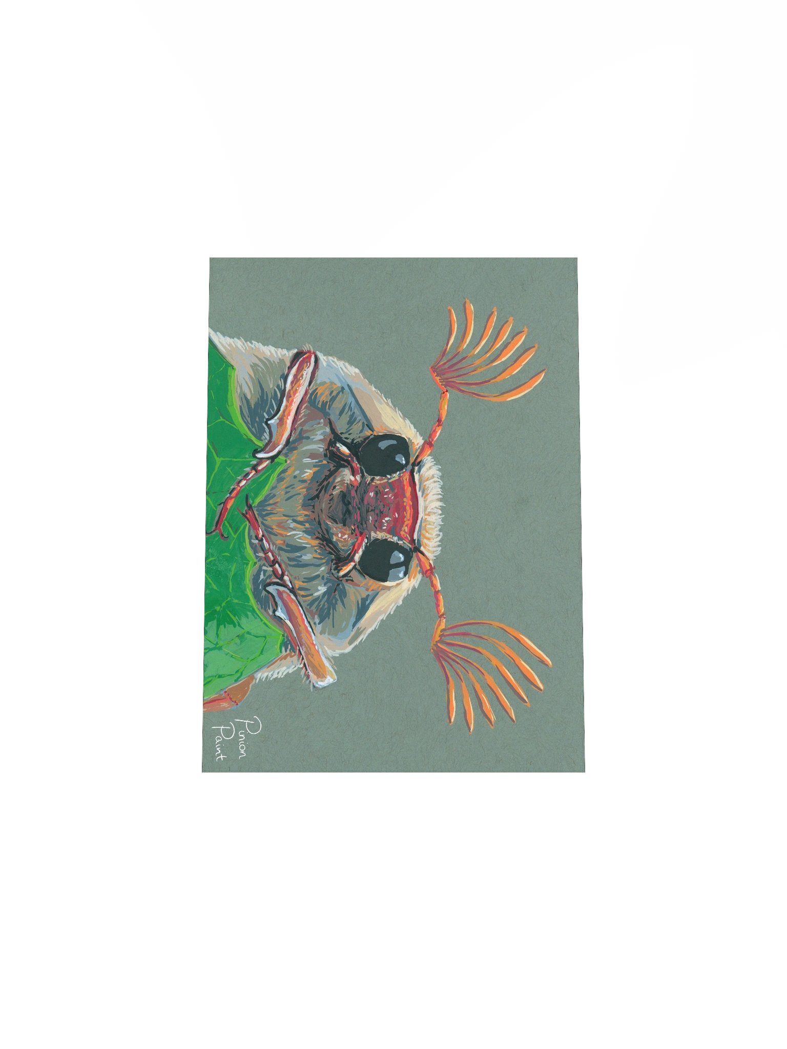 Cockchafer print product image (7)