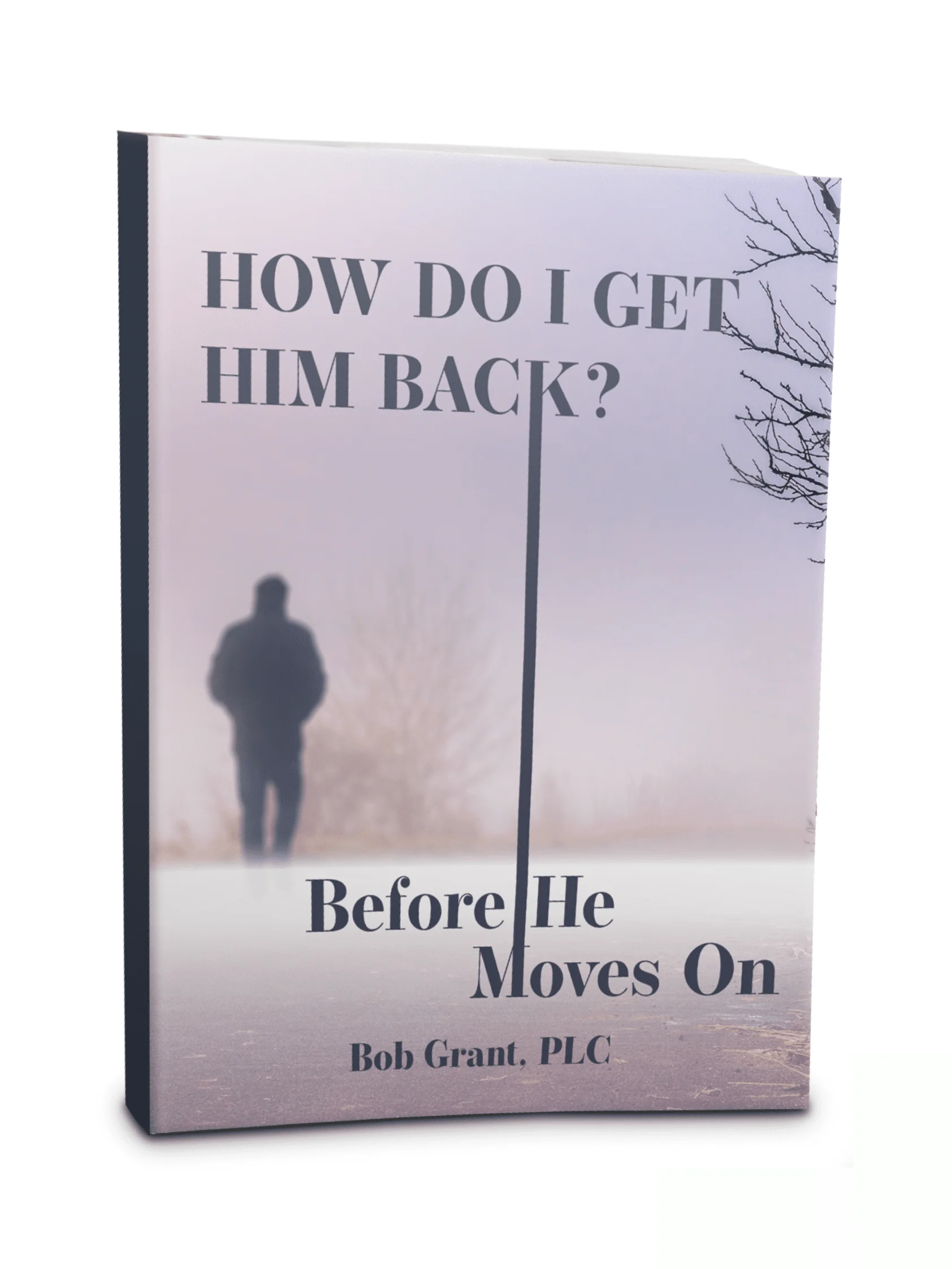How Do I Get Him Back product image (1)