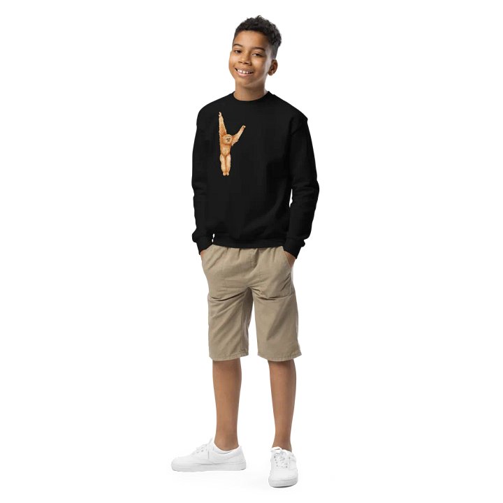 Primate Elevation Youth Sweatshirt product image (1)