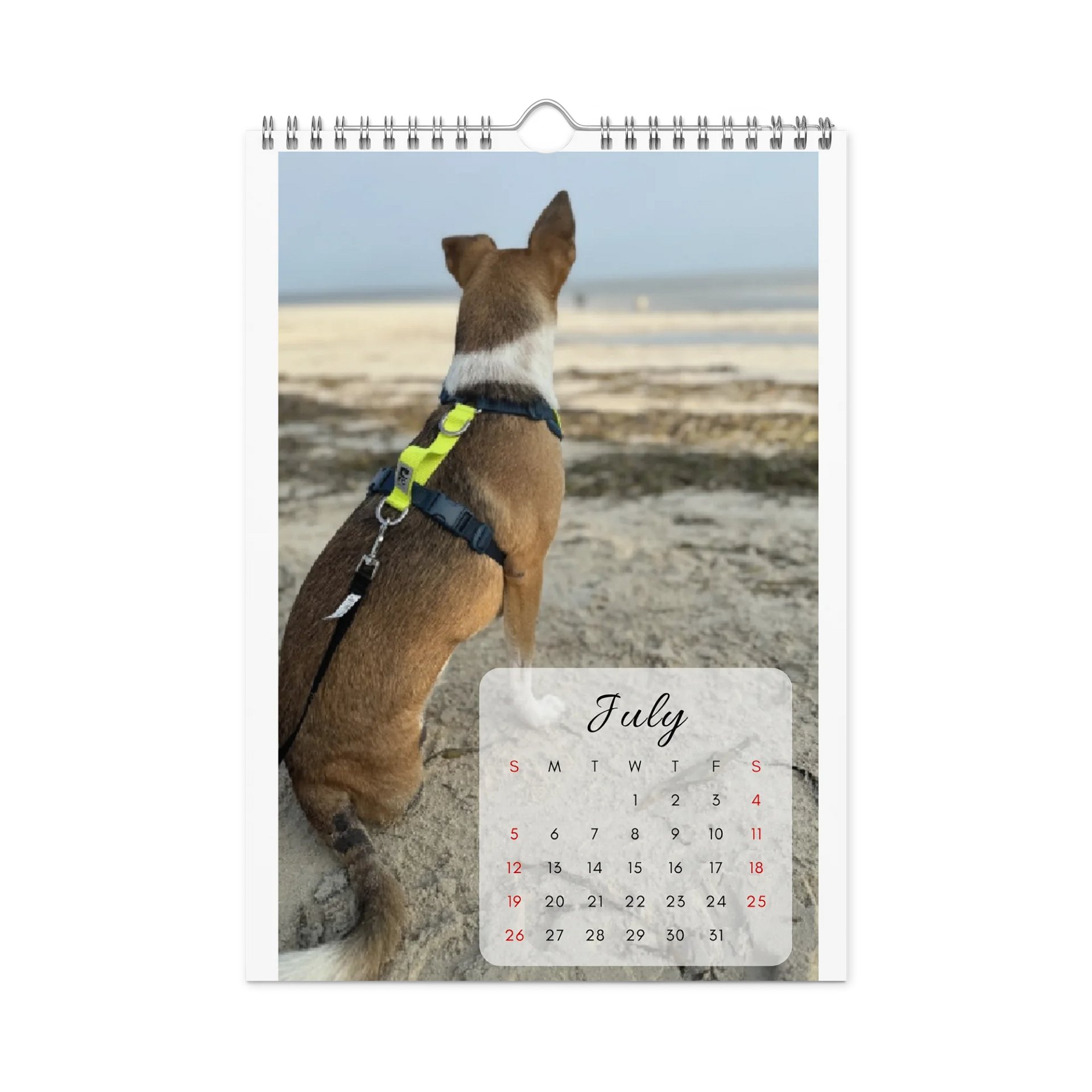 Isla Animals Calendar 2026 product image (8)