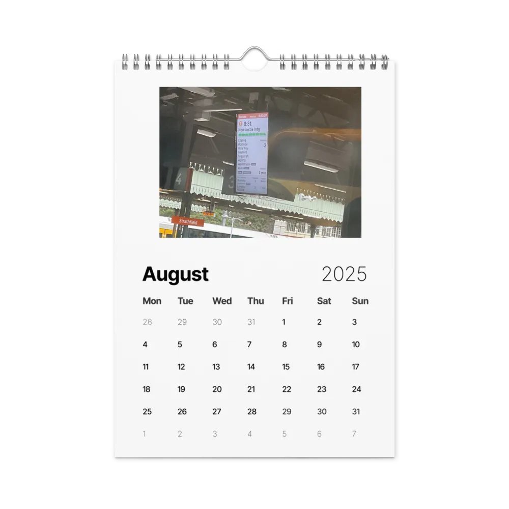 2025 calander product image (2)