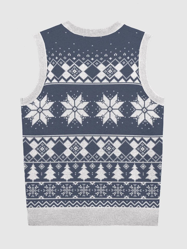 BigLuv (Knitted V-Neck Vest) product image (2)