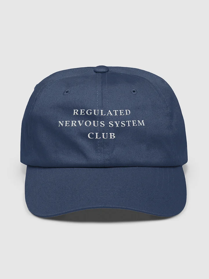 Regulated Nervous System Club (Embroidered Cap) product image (6)