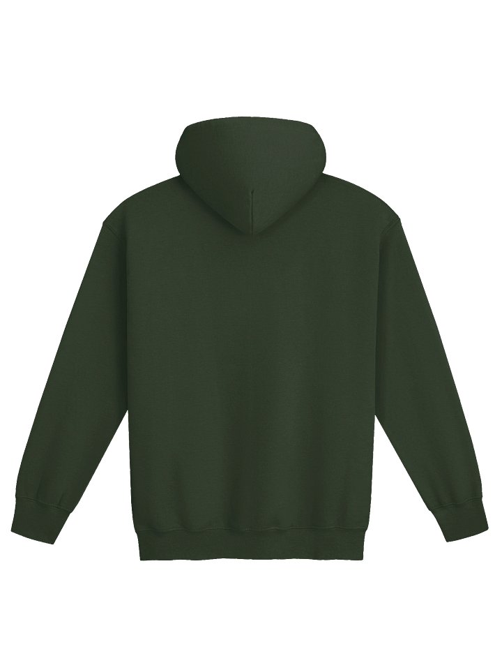 Chronicles Hooded Sweatshirt - Green product image (2)