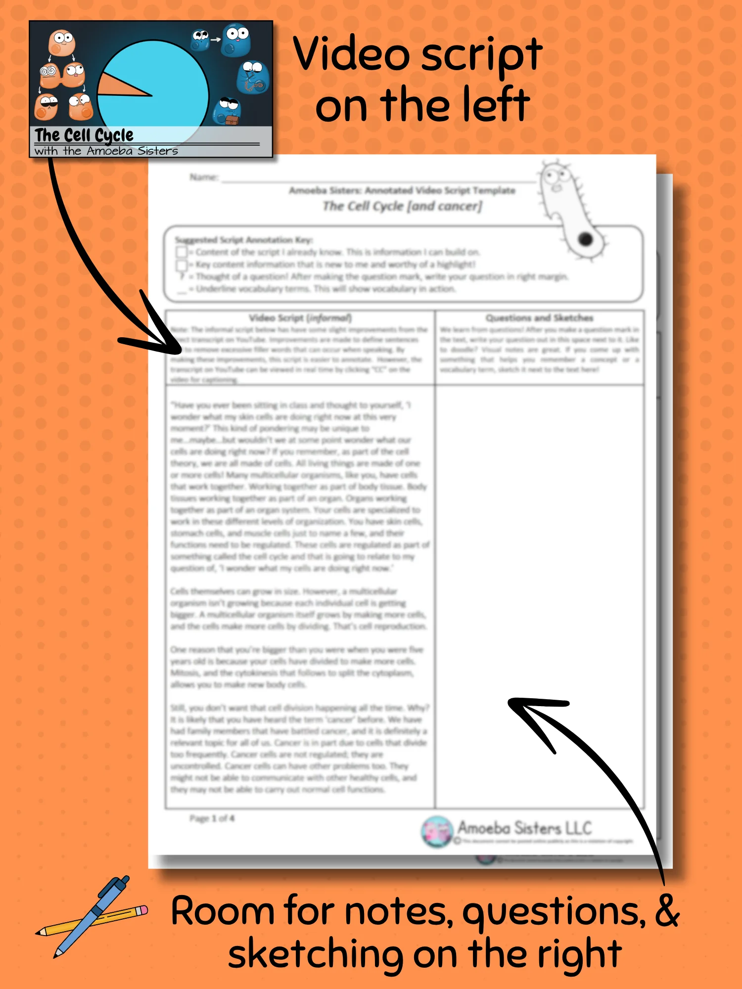 Amoeba Sisters Cell Cycle Annotated Video Script Template product image (2)
