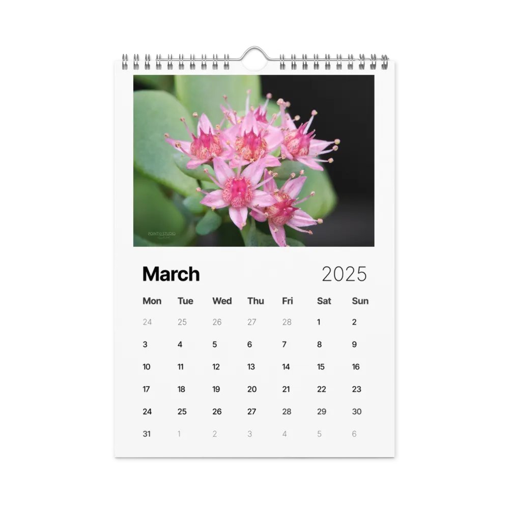 Pure Colors 2025 Wall Calendar product image (4)