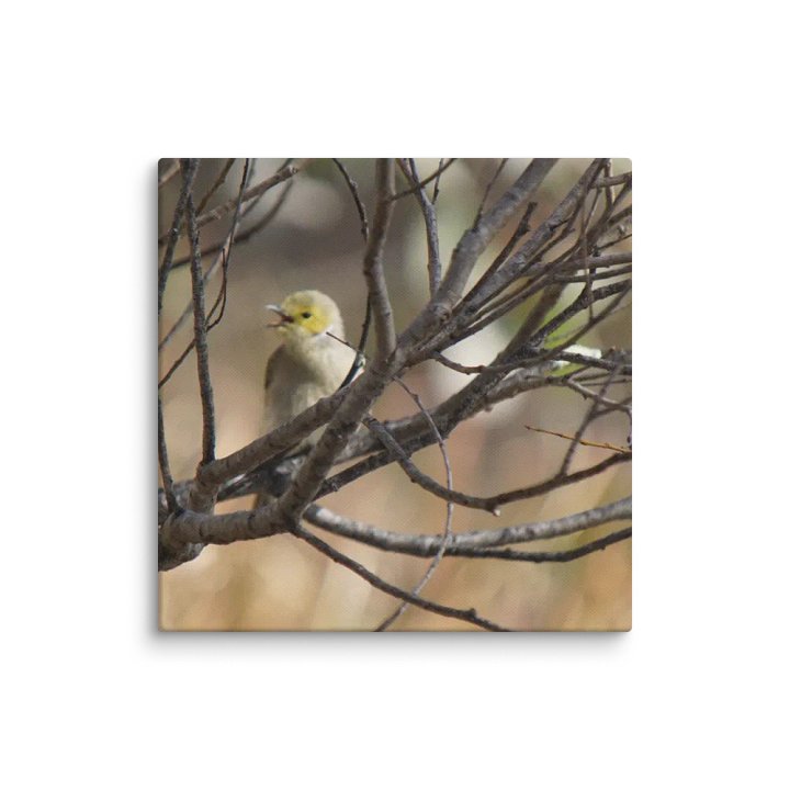 Bird Canvas product image (2)