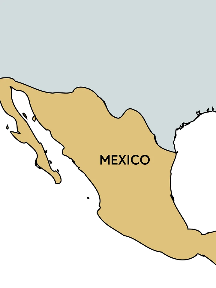 Risk Snapshot - Mexico product image (1)
